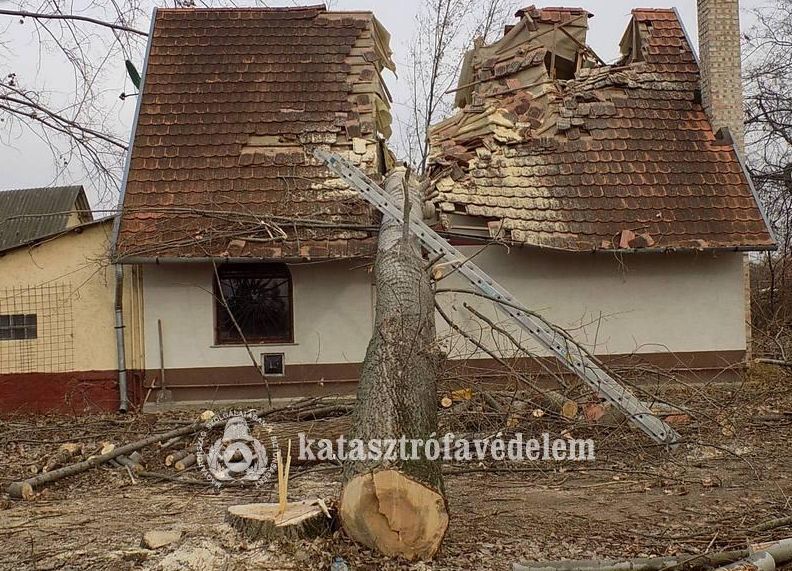 Kettévágott egy családi házat egy kidőlt fa