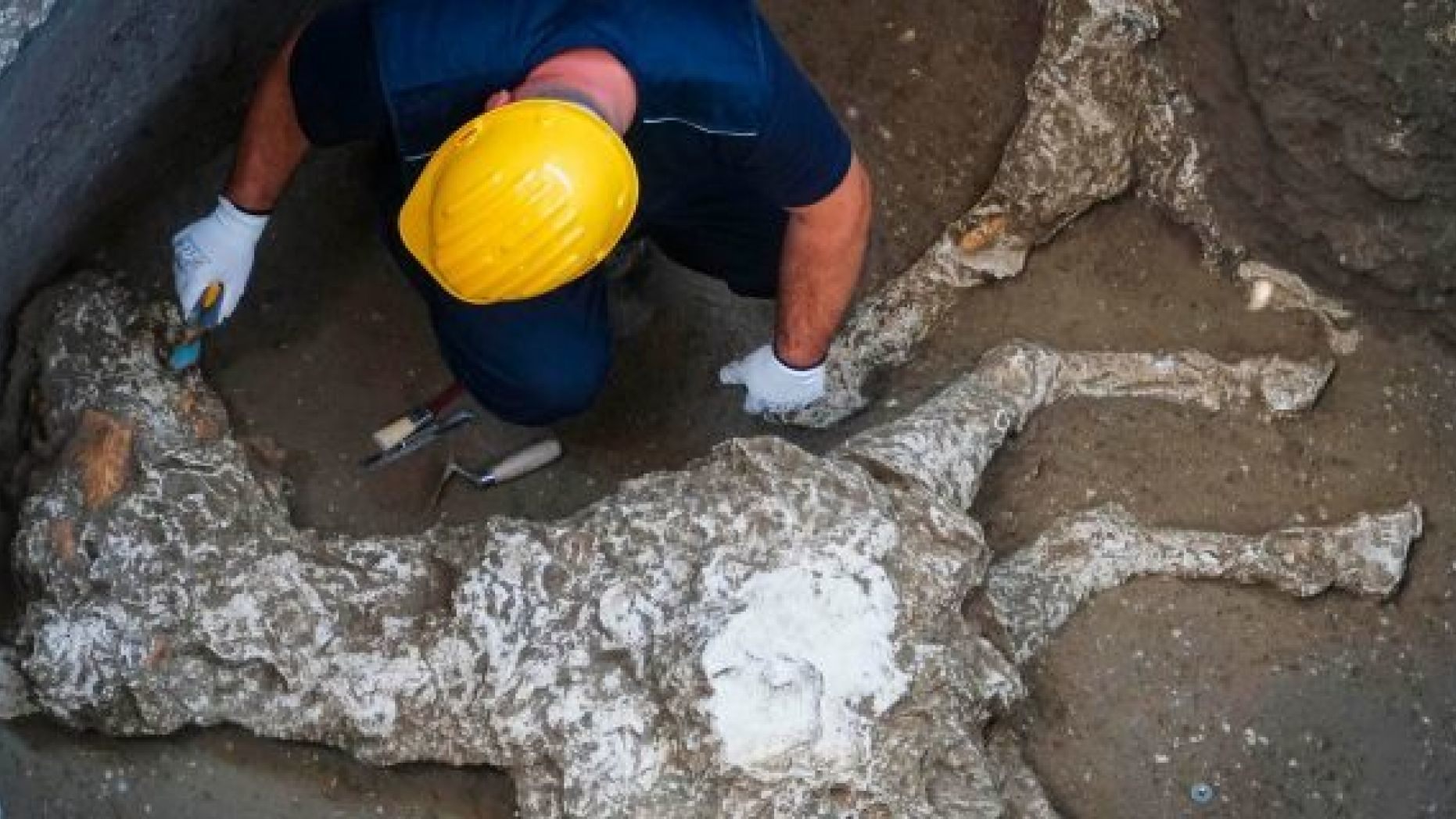 Egy felkantározott katonai ló ritka leletét találták meg Pompejiben