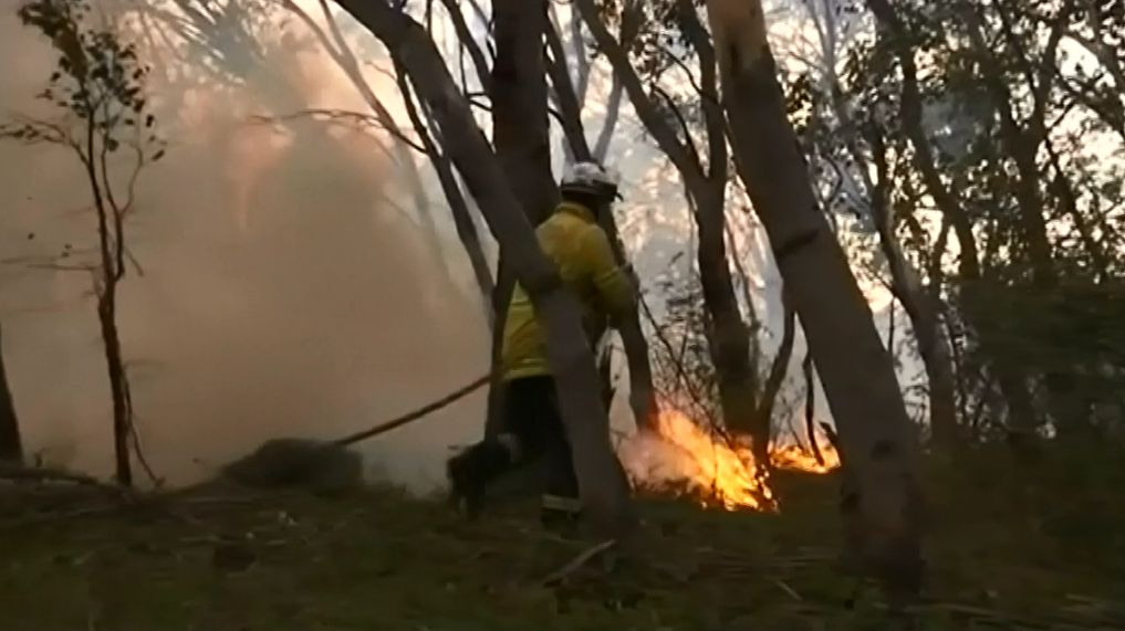 17 ezer hektárnyi területen pusztított a tűz