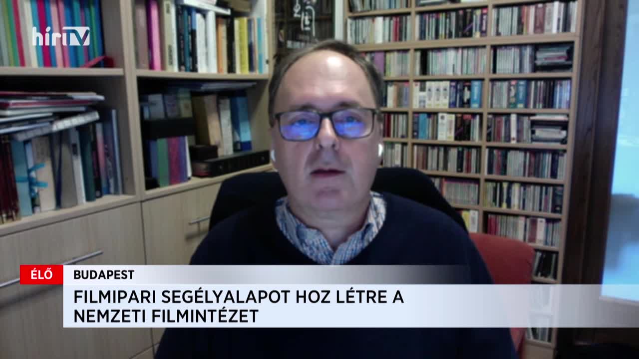 Káel Csaba: Segélyalappal segítik a szabadúszó filmeseket
