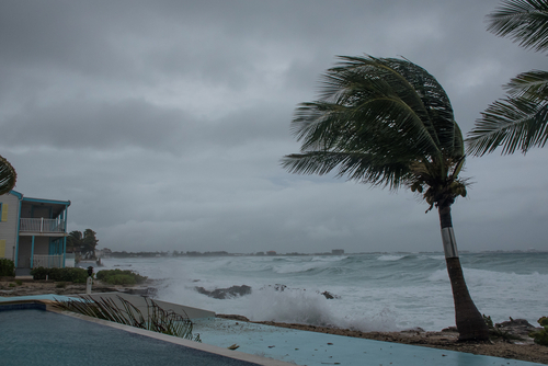 Lecsapott Miamira az Eta nevű vihar