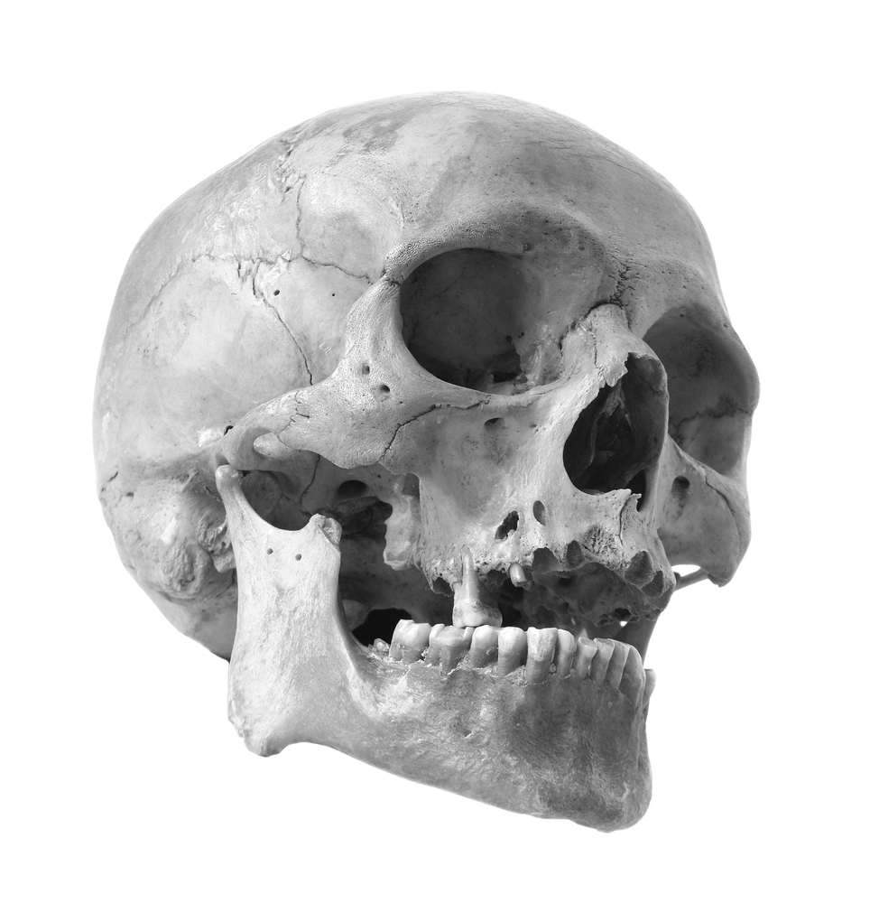 Sokkoló: koponyákat és emberi maradványokat találtak egy szegedi padláson