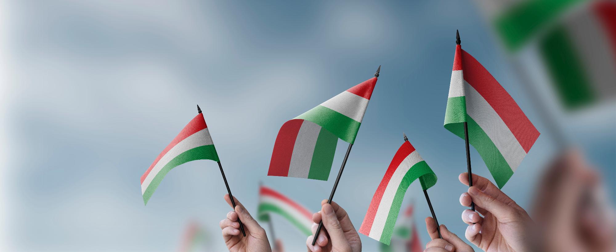 Az Egyesült Államokban több mint 1,4 millióan vallják magukat magyarnak, vagy magyar származásúnak