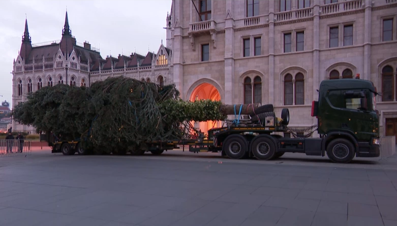 Elkezdték felállítani az ország karácsonyfáját a Kossuth téren + videó