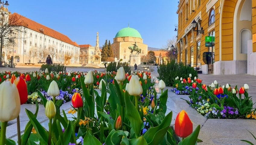 Magyarországon egyedülálló adatbázis lendítheti fel Pécs turizmusát