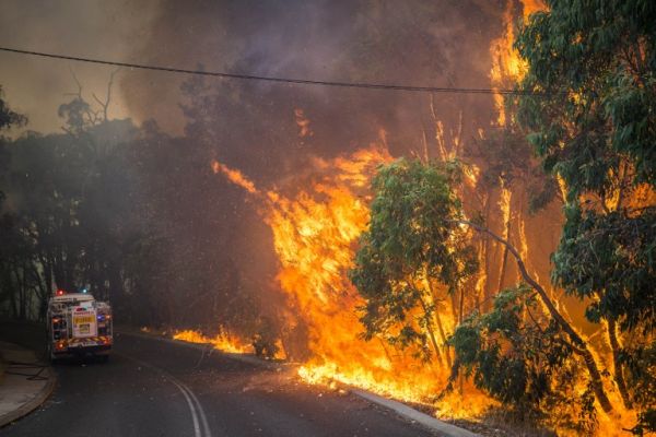 Az erdők ötödét elpusztították a bozóttüzek Ausztráliában