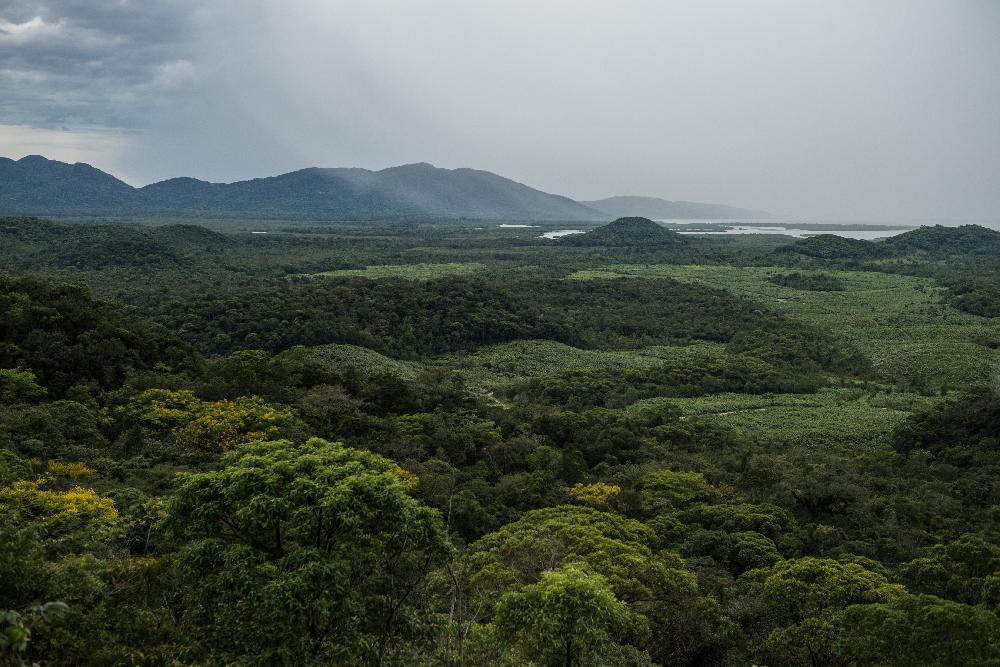 Kiugróan sok esőerdőt vágtak ki áprilisban Brazíliában