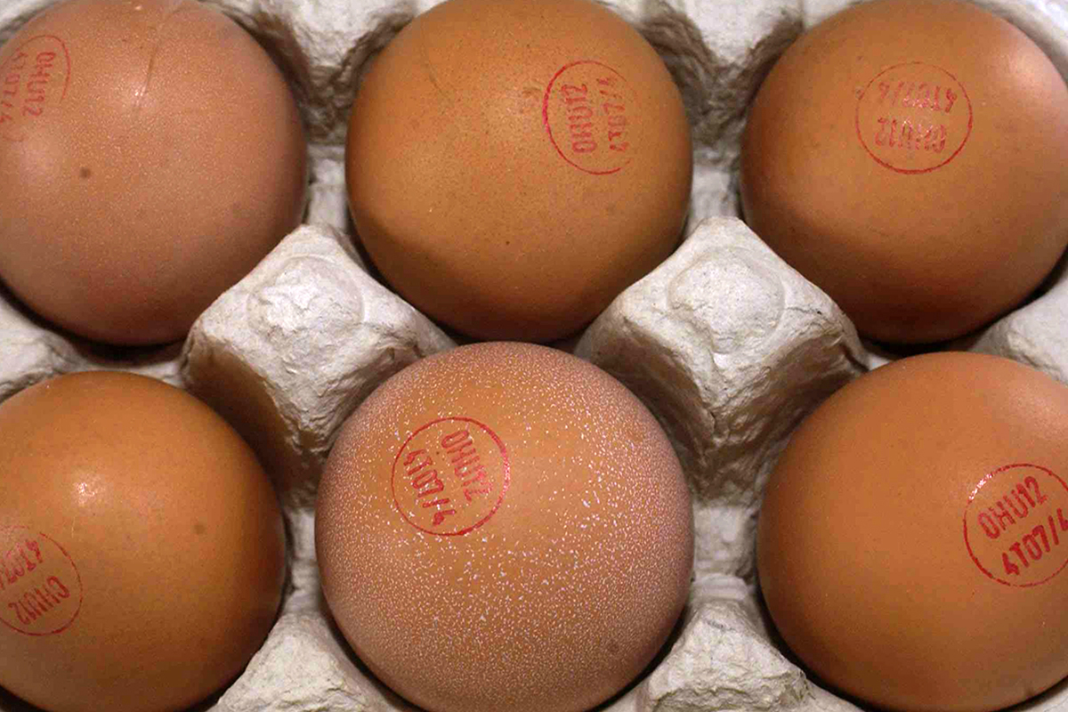 Nem várható, hogy mérsélkődik a tojás ára