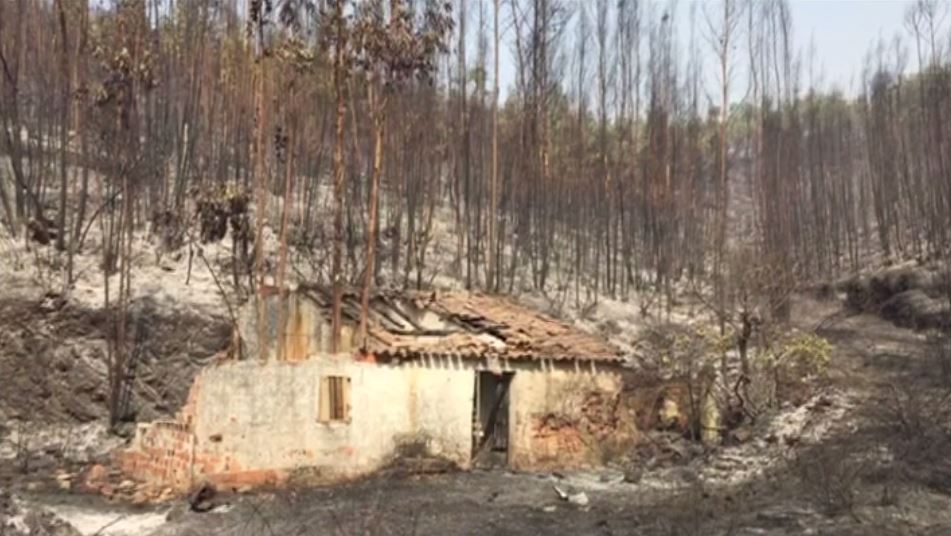 Már 100 kilométer hosszan pusztít a portugáliai erdőtűz