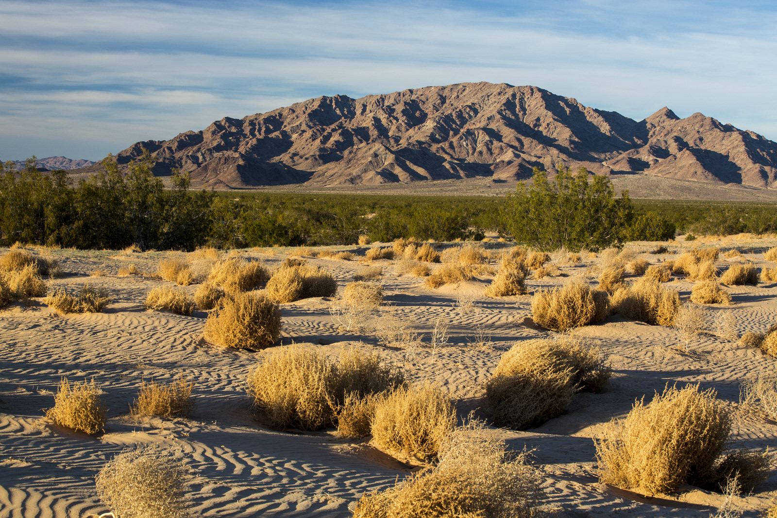 Eltűnhet a Mojave sivatag ökoszisztémájának egy része