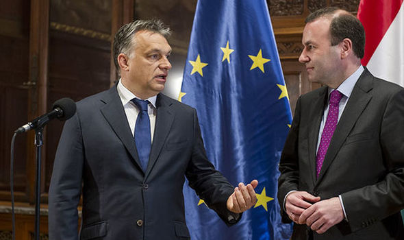 Senki sem követeli a Fidesz kizárását a Néppártból