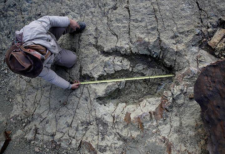 Megtalálták egy 145 millió évvel ezelőtti vadászat nyomait