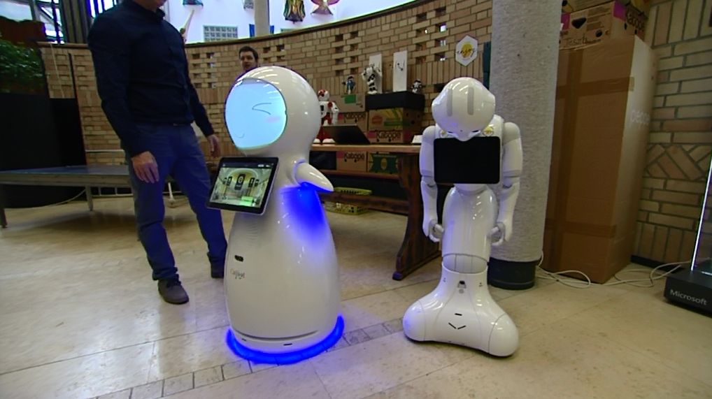 Embernagyságú robotokkal is találkozhattak egy budapesti gimnáziumban