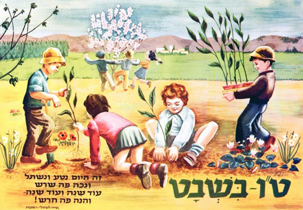Tubisvatot, a fák újévét ünneplik a zsidó gyerekek