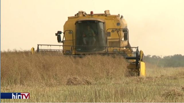 Megmarad a vidékfejlesztési és agrártámogatások korábbi szintje 