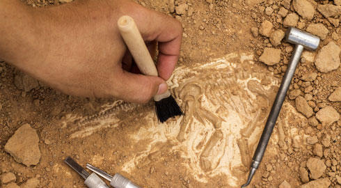 Bronzkori és Árpád-kori leleteket találtak a régészek Baja határában