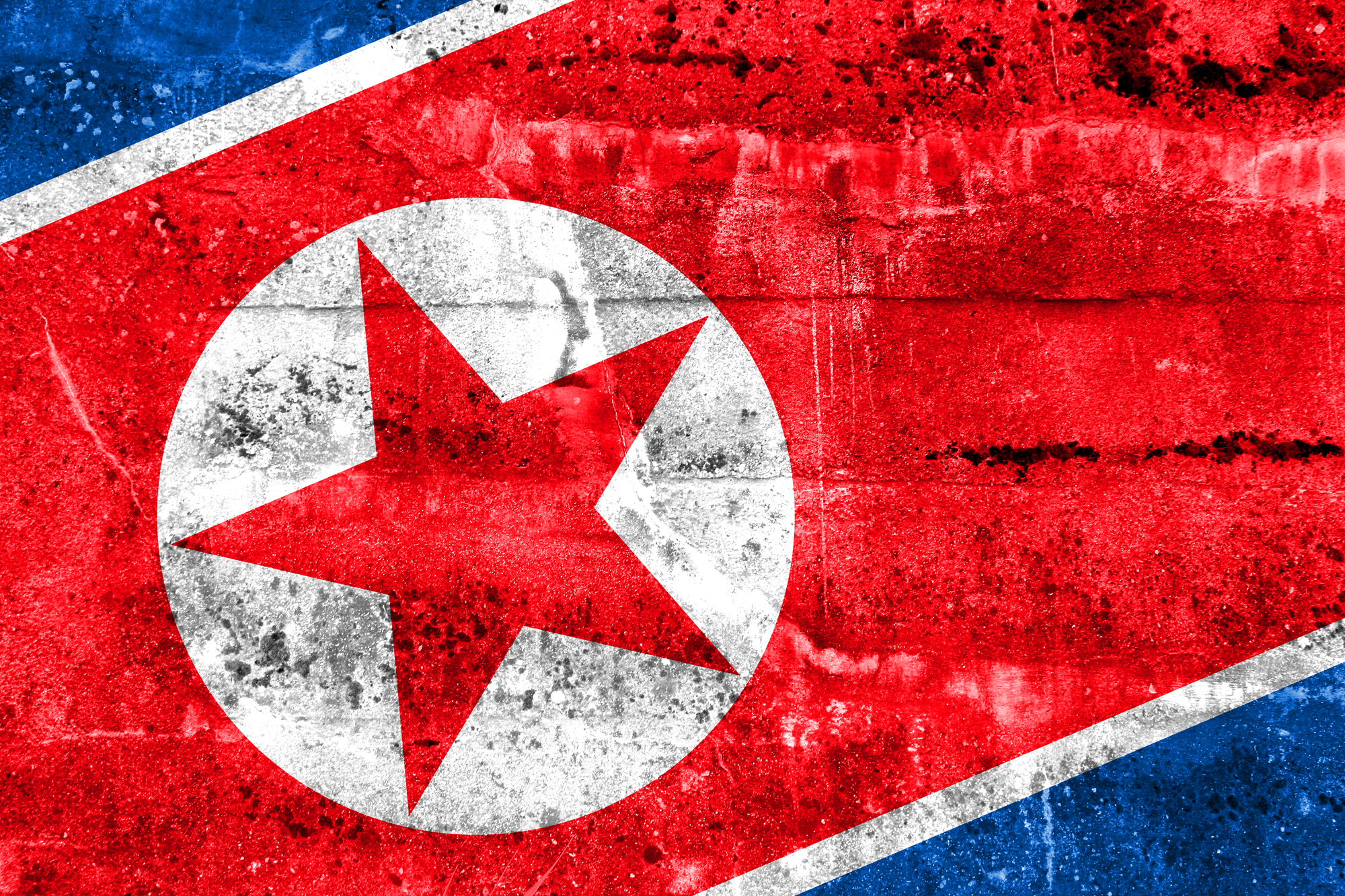 Elengedték az Észak-Koreában őrizetbe vett ausztrál állampolgárt
