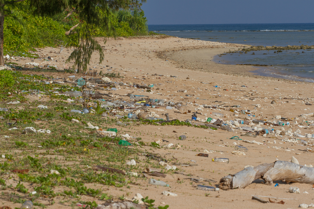 Percenként átlagosan csaknem 34 ezer műanyag palack kerül a Földközi-tengerbe