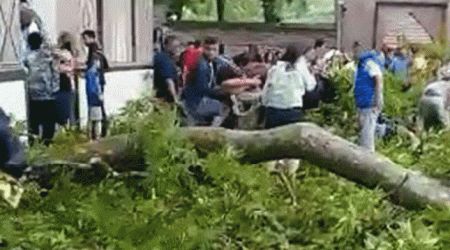 Turistákra zuhant egy platánfa ága Azerbajdzsánban