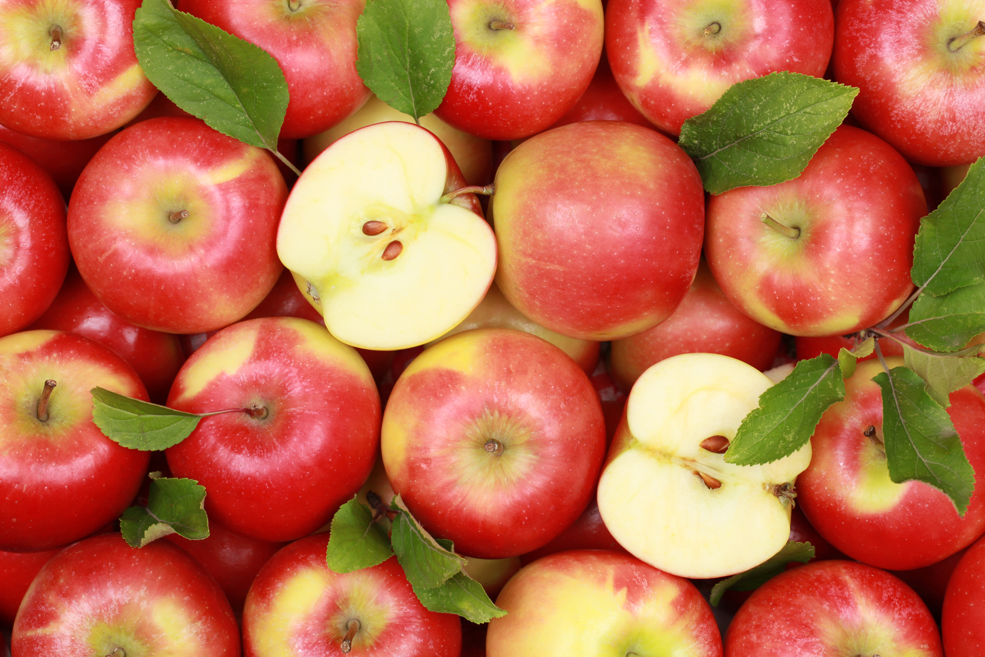 Egyszer használatos étkezési edényeket fejlesztettek almából orosz kutatók 