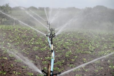 Agrárminiszter: Elengedhetetlen a talaj szervesanyag-utánpótlása
