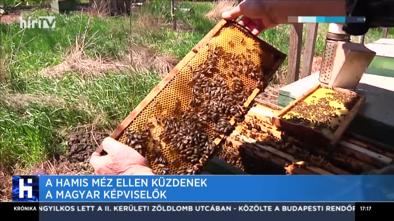 A hamis méz ellen küzdenek a magyar képviselők