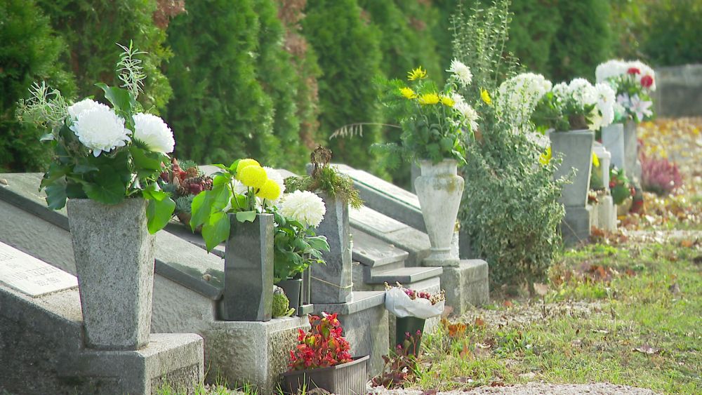 Még mindig a krizantém a legnépszerűbb temetői virág