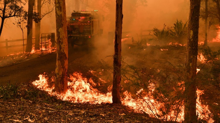 Tovább pusztítanak a bozóttüzek Sydney környékén, újabb hőhullámra számítanak