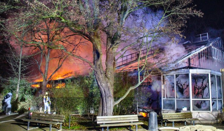 Leégett egy állatkerti majomház a németországi Krefeldben