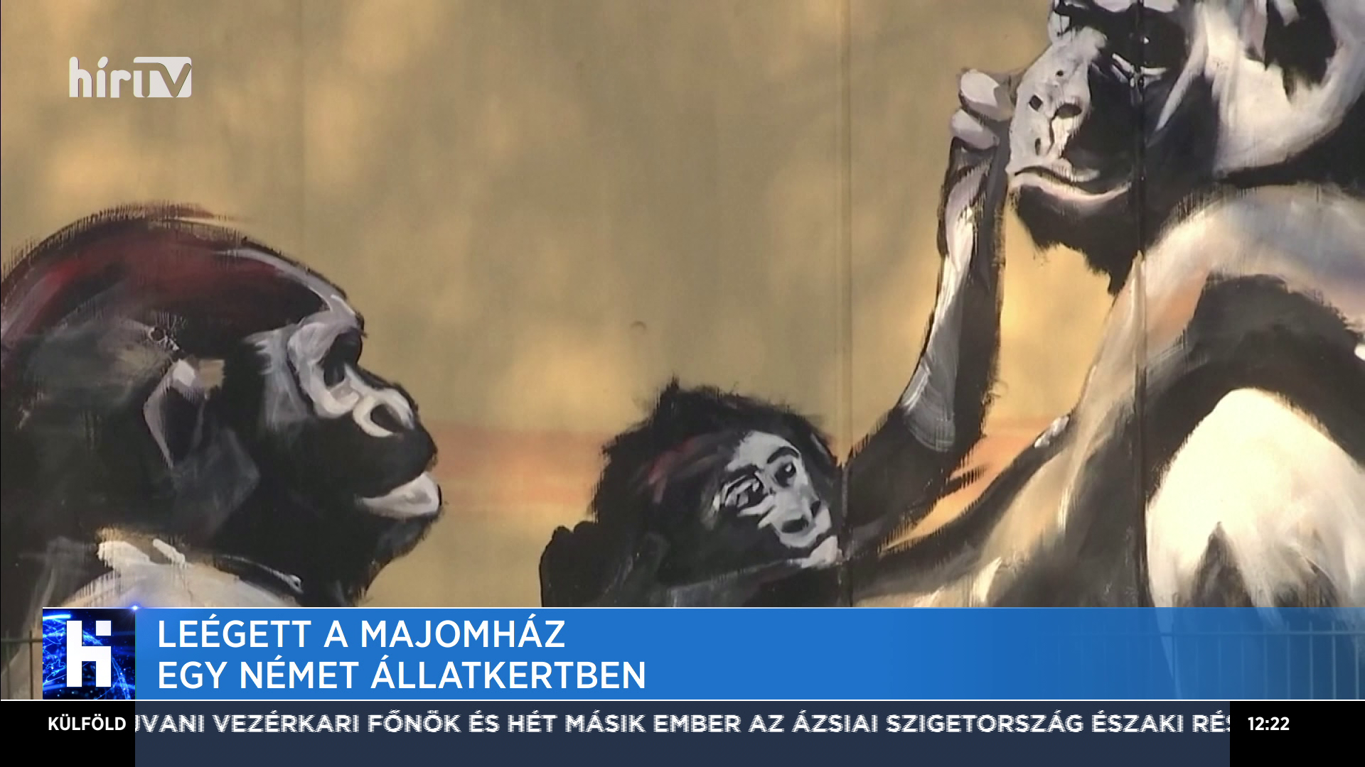 Leégett a majomház egy német állatkertben