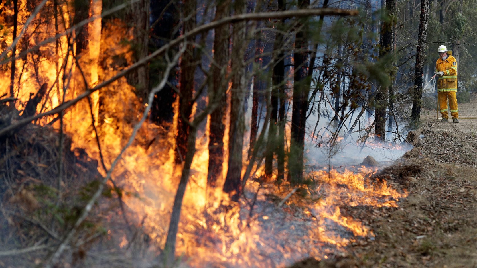 Ausztrál tűzvész - Meghalt egy tűzoltó