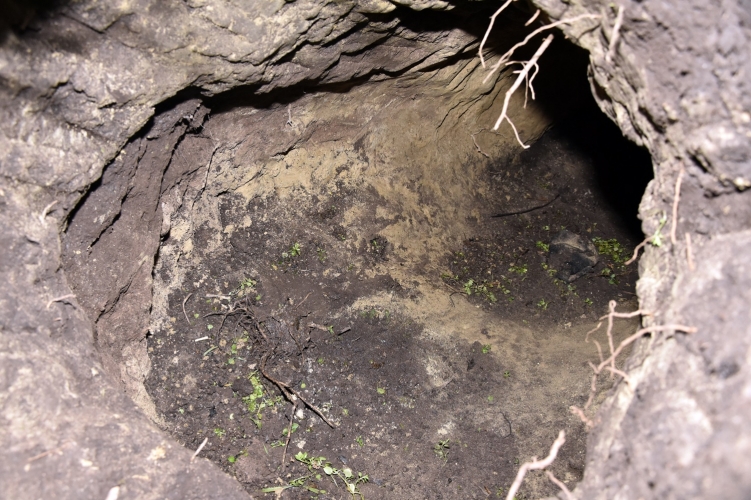Újabb alagutat találtak a szerb-magyar határnál