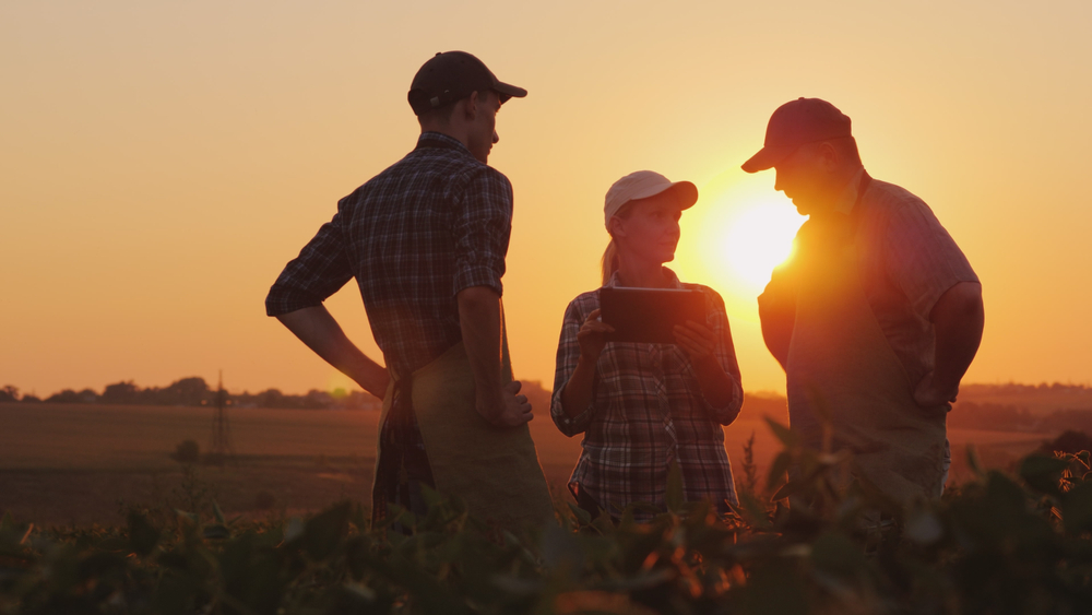 Újabb agrárszakképző intézmények gazdálkodását kifogásolta az Állami Számvevőszék