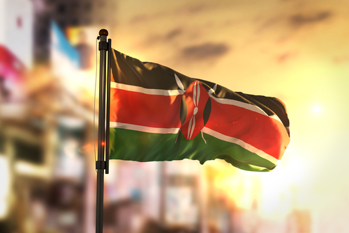 Kenyában megölték az al-Shabaab terrorszervezet két feltételezett tagját