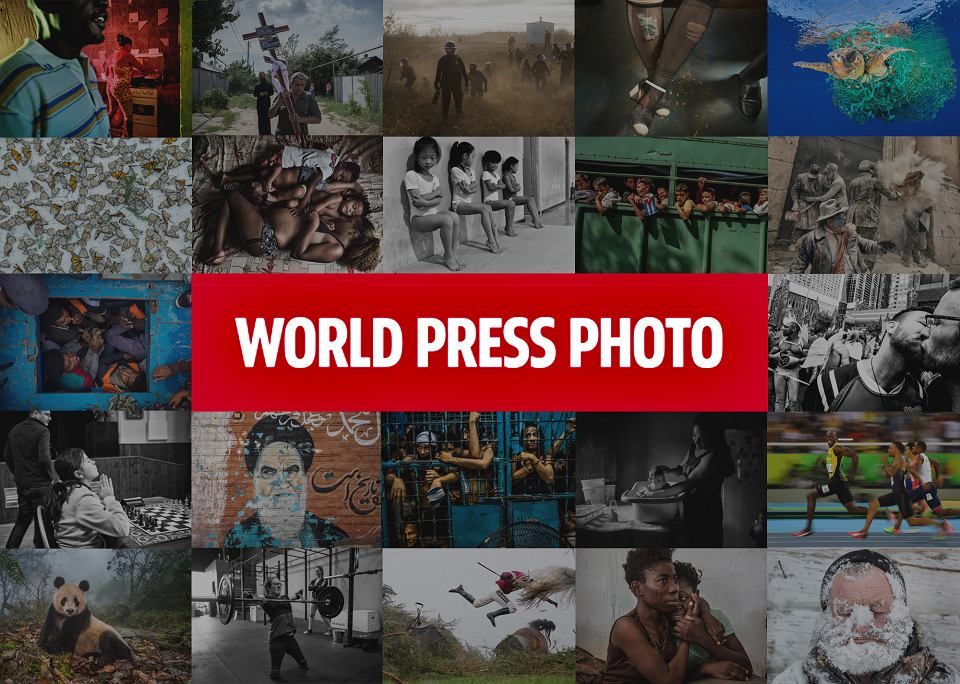 Horváth Eszter magyar fotós nyerte a World Press Photo 2020 díját környezet kategóriában