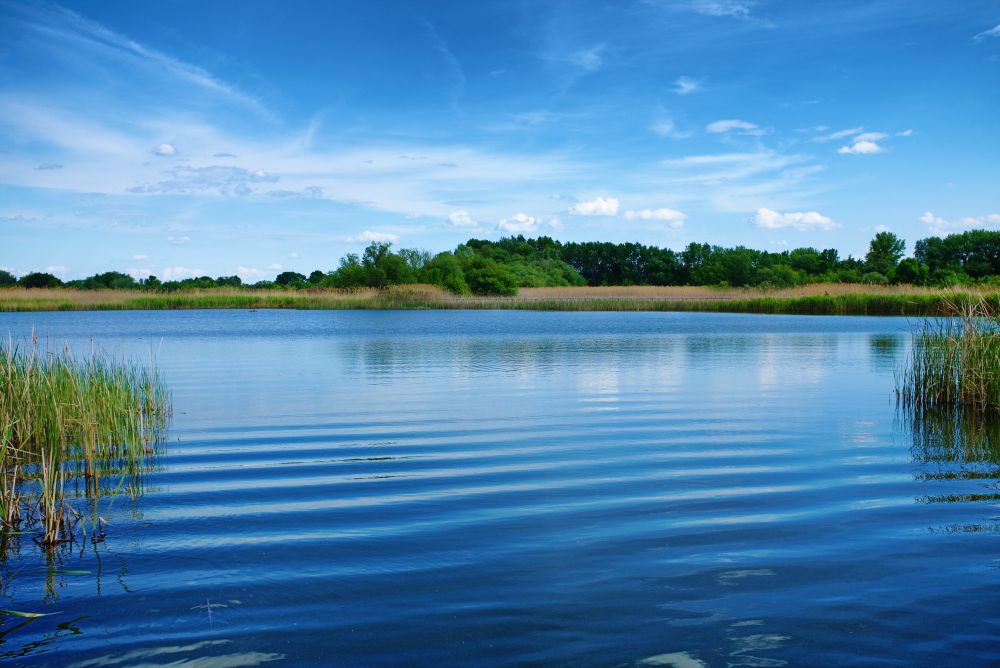 Befejeződött a Tisza-tó tavaszi feltöltése