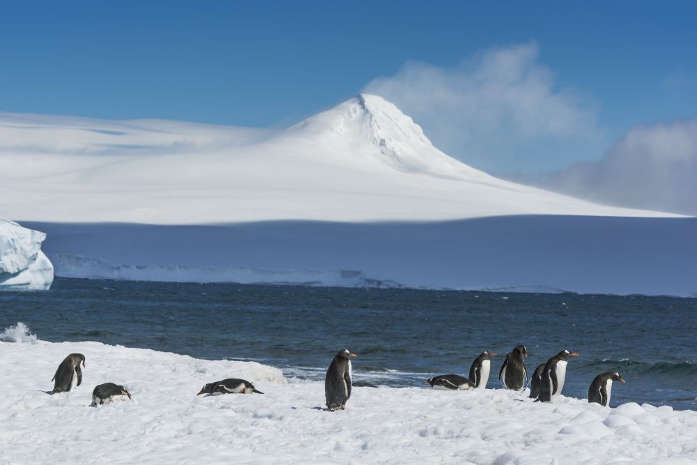 Az Antarktisz az egyetlen újkoronavírus-mentes kontinens