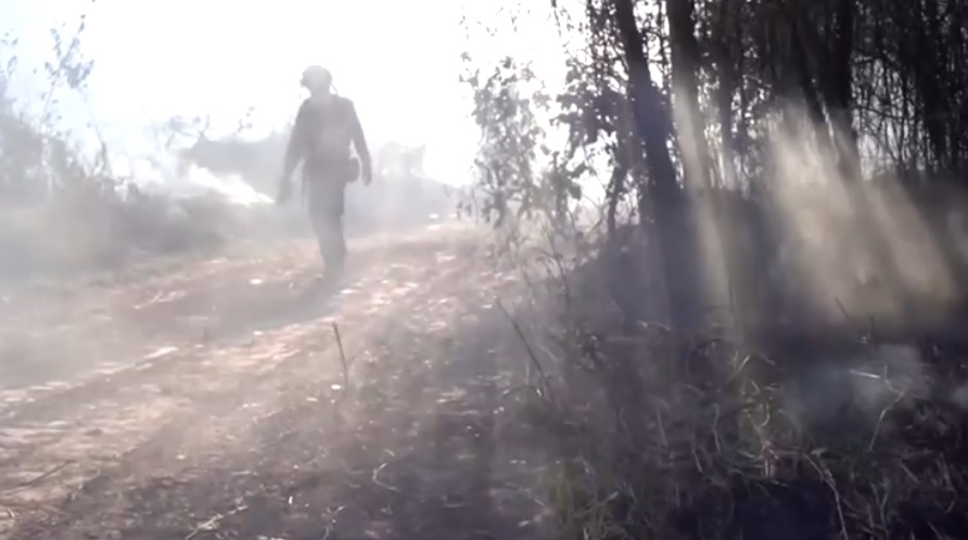 Súlyos károkat okoznak a Pantanalban pusztító tüzek