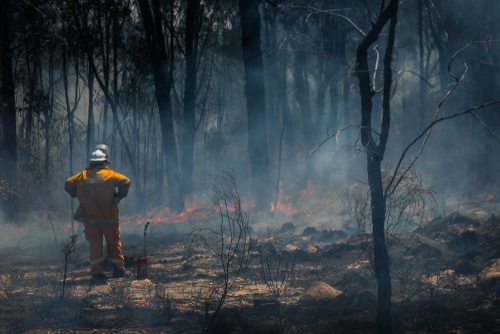 Lezárják a nemzeti parkokat Kalifornia déli részén a tűzvészek miatt