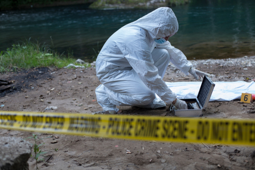 Holttestet találtak a Dunában Csepelnél