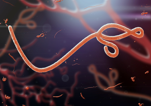 Újabb ebolás megbetegedést észleltek Kongó keleti részén