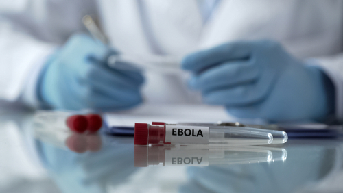 Újabb ebolás megbetegedéseket regisztráltak a nyugat-afrikai Guineában