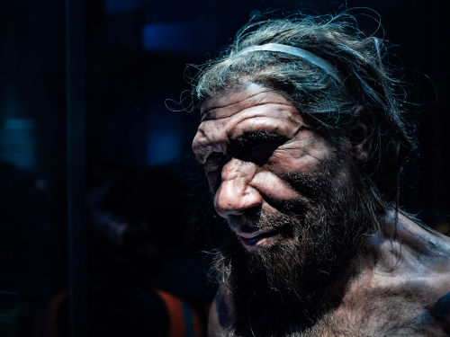 Az első modern emberek gyakrabban keveredtek a neandervölgyiekkel, mint eddig vélték