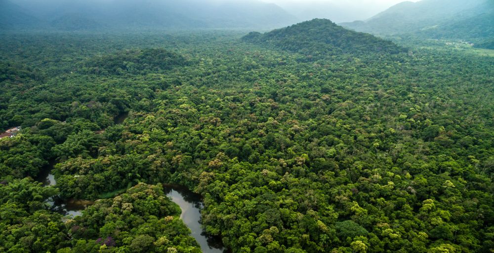 Aggasztó hírek érkeztek Amazóniáról 