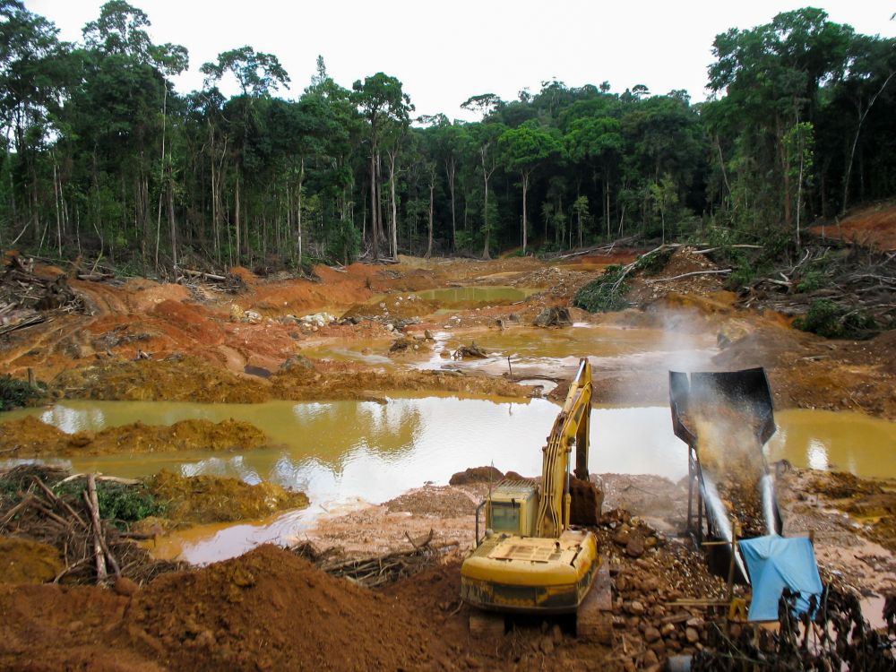 Rekordnagyságú erdőpusztítás Amazóniában