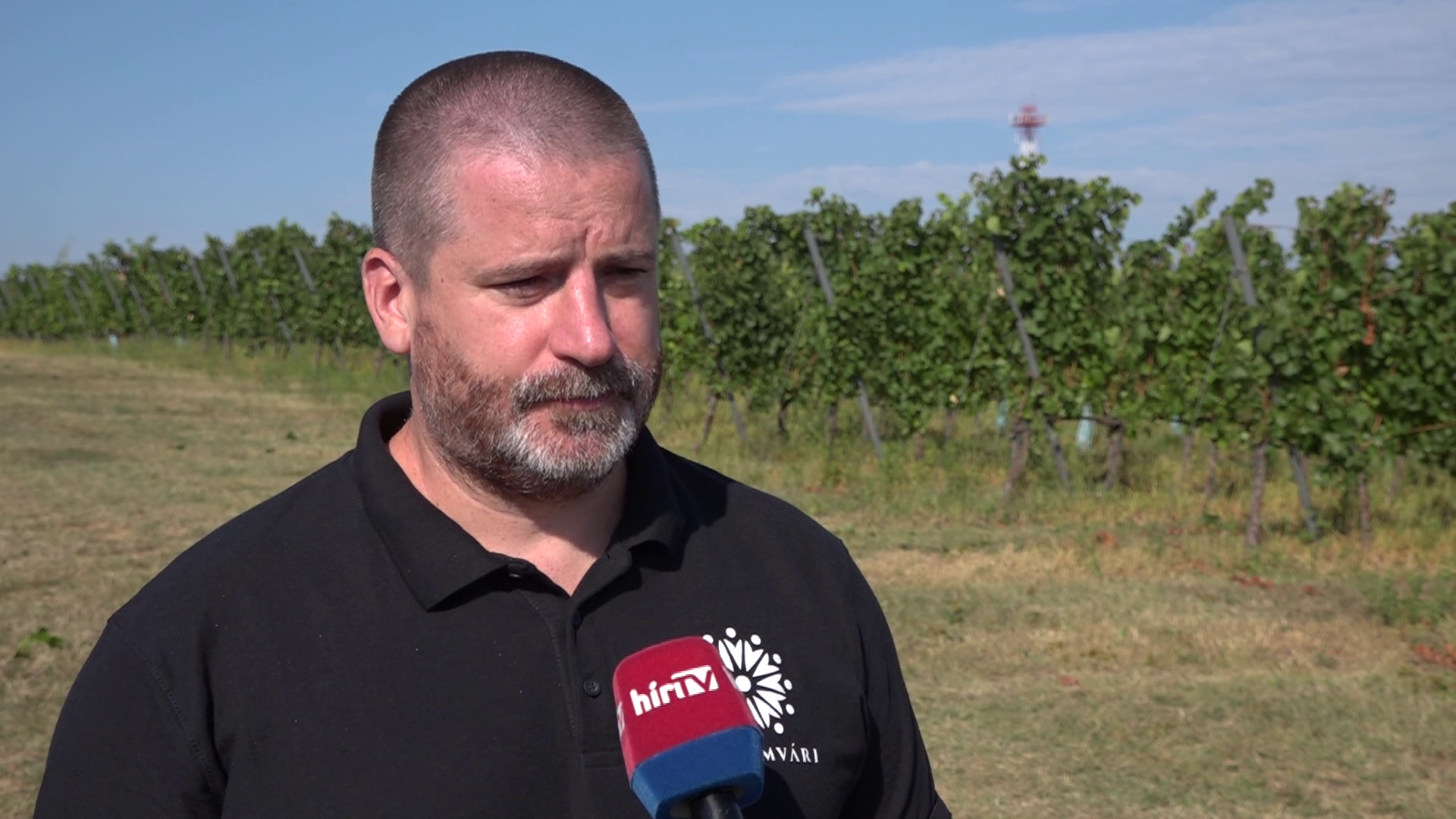 Milliárdos támogatáshoz jut a hazai szőlő-bor ágazat