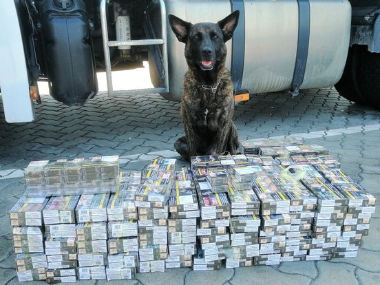 Másfélmilliós szimatot fogott a NAV szolgálati kutyája