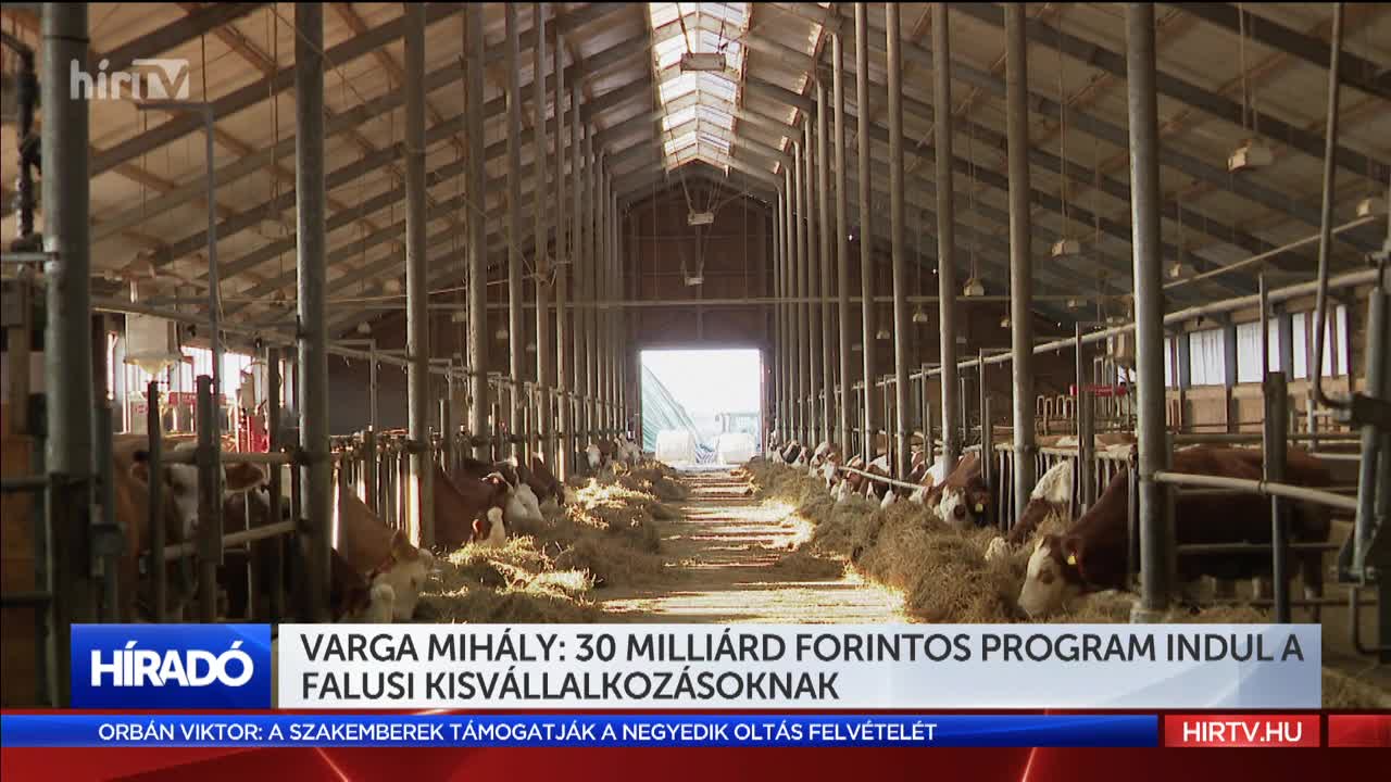 Varga Mihály: 30 milliárd forintos program indul a falusi kisvállalkozásoknak 