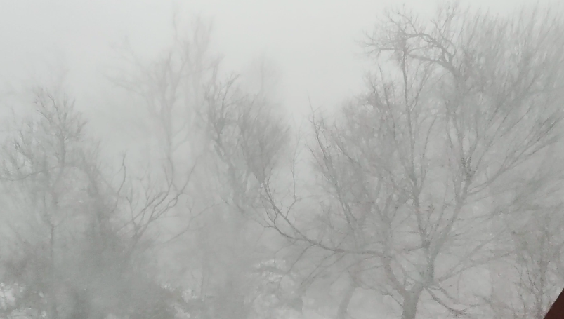 Brutális hóvihar a Dunakanyarban