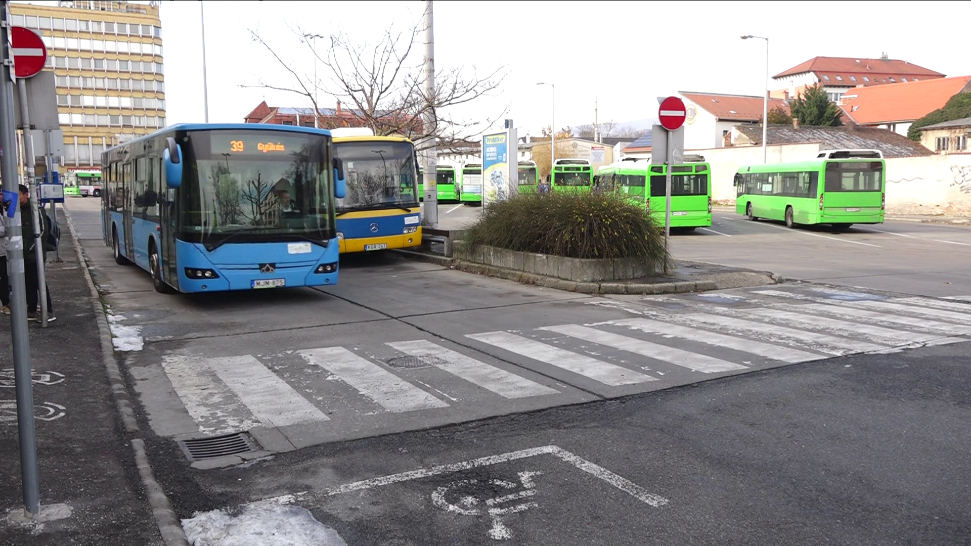Pécsen veszélyben a buszszolgáltatás